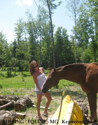 MISSING EQUINE MG Kennebec Kirby, Near Dummer, NH, 03588